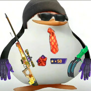 马达加斯加的企鹅