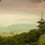 kYOTO organner.pl