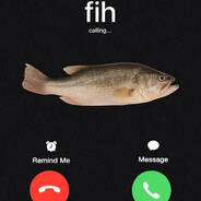 fih