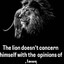 The Lion