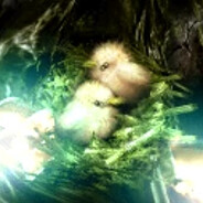 TheNobleScout's avatar