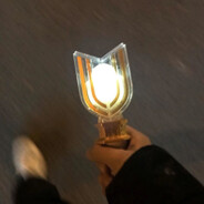 可可爱爱猪正义