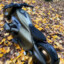 Ostvind270