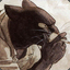 Blacksad