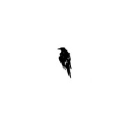 Lighter's avatar