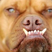 超级无敌垃圾游戏