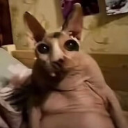 Замир Безевреев