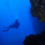Ringo_the_Diver