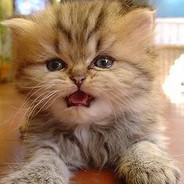 他说你老婆真舒服