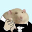 handsome rat