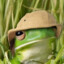 FriendlyFrog