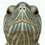 陪小旭许个愿02