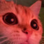 meow 4 ochinchin