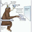 LIMIT_TESTER