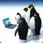 laptop penguins