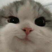 Meow^-^