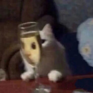 妇产科临床章鱼🐙