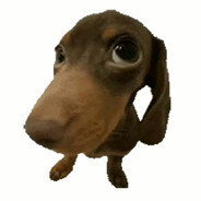 来训练场看我击靶.