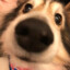 ♥ я гей