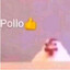 the chicken