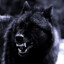 BLACKWOLF;)