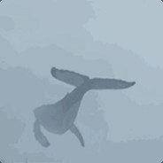 就算天王老子来了他也叫麦克雷