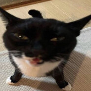 ижанит_I4BB - steam id 76561198365107856