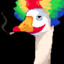 Goose