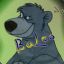 BaLoo