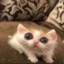 Tombokersh