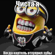 картель картель