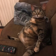 Милана Некрасова