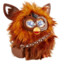 THE Furbacca