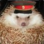 Kommissar Hedgehog