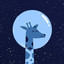 Space Giraffe