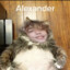 Fatmonk
