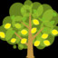 l-e-m-o-n-tree