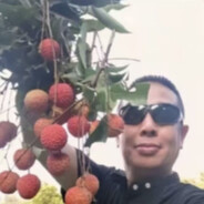 从小就比别人笨