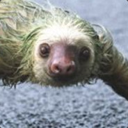 Monke Naroxik