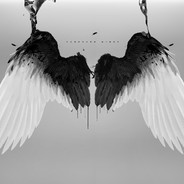 DarkenedWings