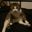 Chonky Charles