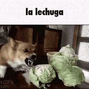 la lechuga