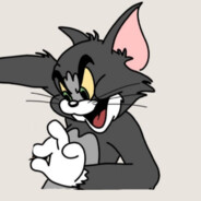 不吃老鼠的汤姆猫