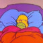 homer_sleebing.png