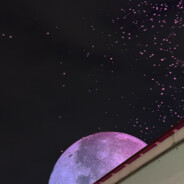 测就完事了