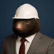 Molehill Construction Manager