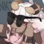 kitpaw456