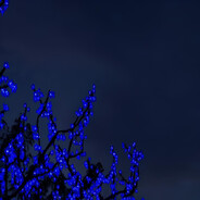 03 - steam id 76561199173824384