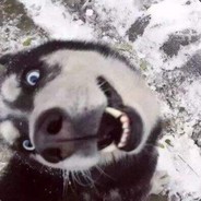 亲蝙蝠好吃吗！！！