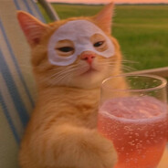 soyka - steam id 76561199562797472